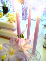 /album/fotogaleria-svadbobnych-posedeni/a05032011359-jpg/